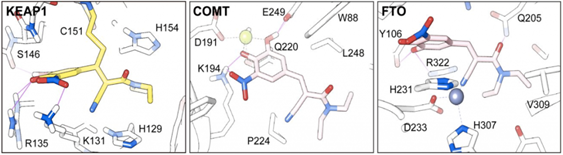 //www.huanglab.org.cn/wordpress/wp-content/uploads/2024/02/wl_f4-1024x282.png