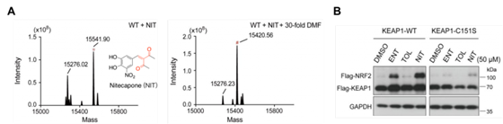 //www.huanglab.org.cn/wordpress/wp-content/uploads/2024/02/wl_f3-1024x252.png